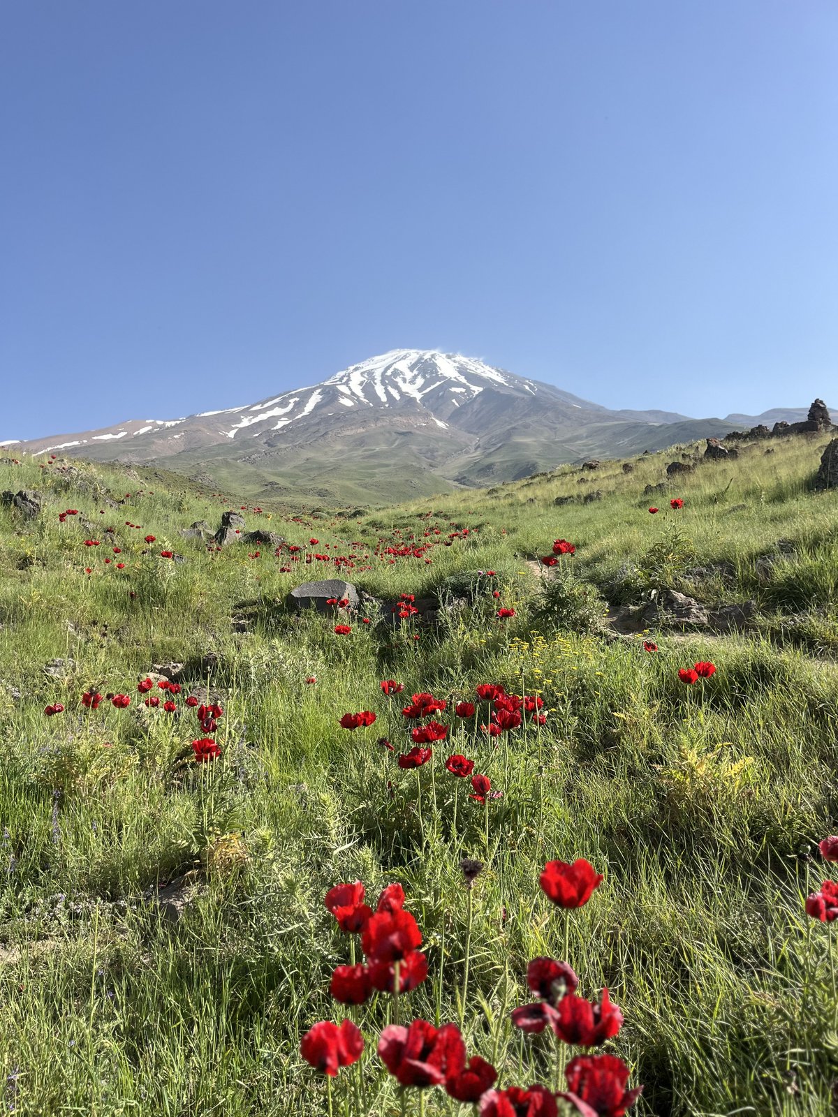 بعد از تمرین کوهستان
